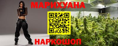 прущие грибы Камышлов