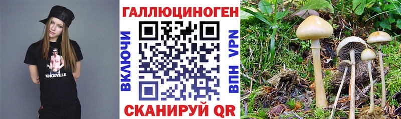 даркнет сайт Новомосковск Псилоцибиновые грибы GOLDEN TEACHER