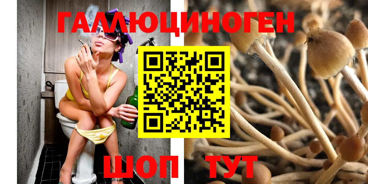 Новомосковск  Псилоцибиновые грибы Cubensis  Вход с VPN 